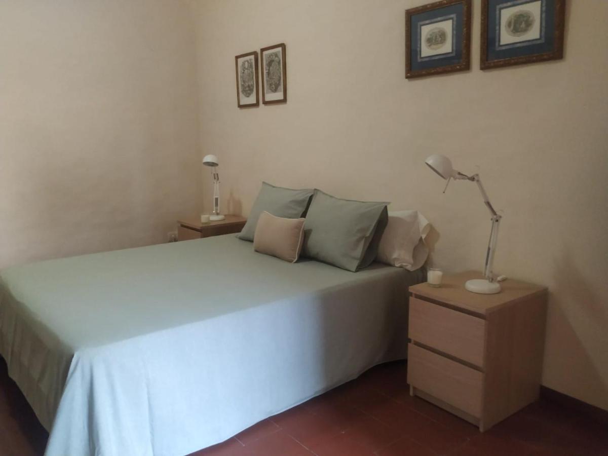 Ferienwohnung Alfacs Sant Carlos de la Ràpita Exterior foto